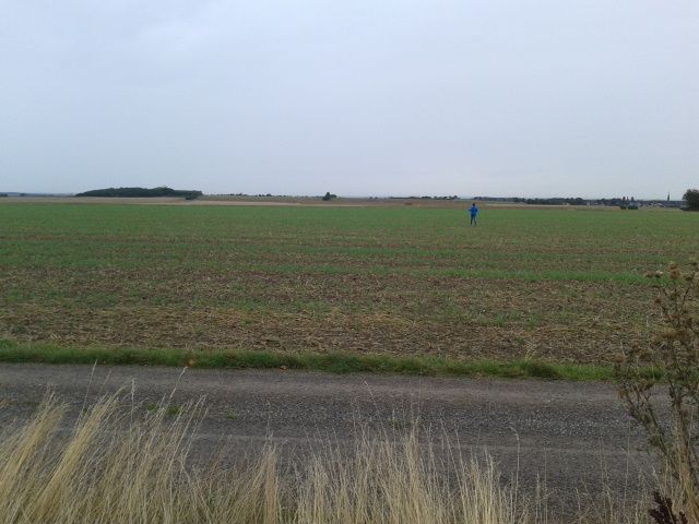 130914_ kleiner_uhu_11.jpg